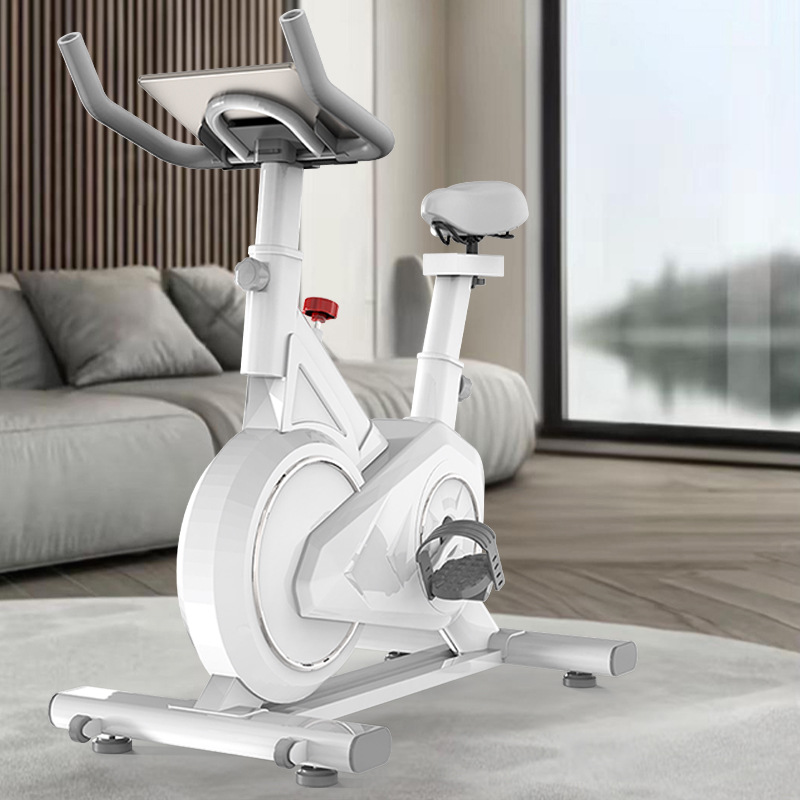Intelligent Spinning Bike Home - Exercise Bike Magnetic Resistance recension och pris