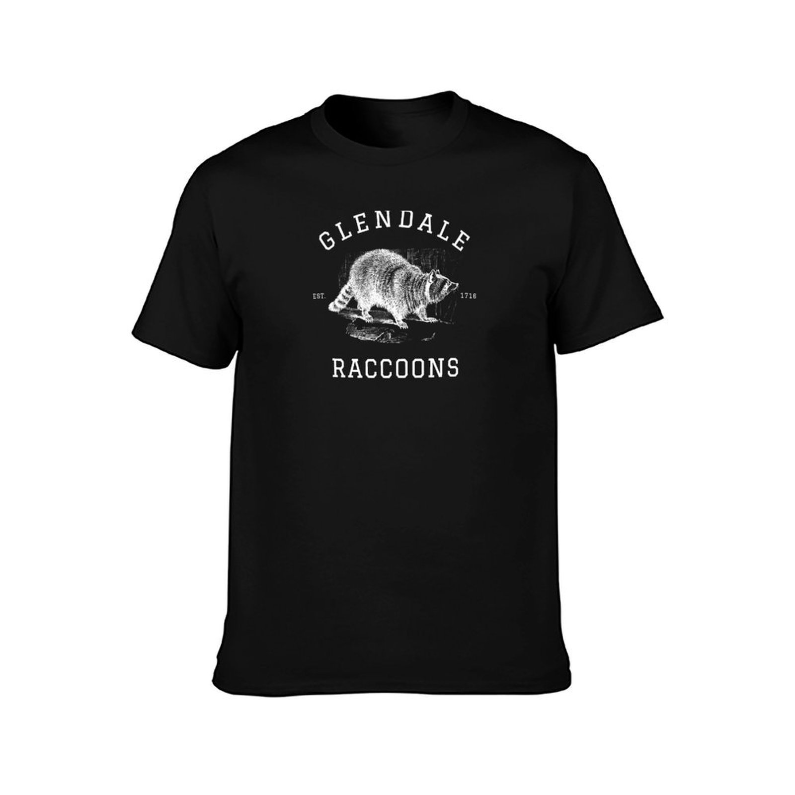 Glendale Raccoons Vintage Spor - Team Sports recension och pris